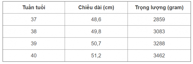 Bật mí cho mẹ tháng cuối thai nhi tăng cân như thế nào?