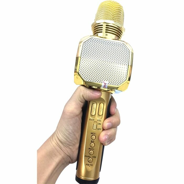 micro karaoke blutooth